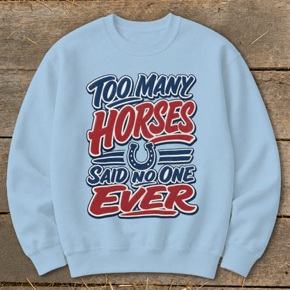 Light blue sweatshirt with "Too Many Horses Said No One Ever" text and horseshoe graphic.