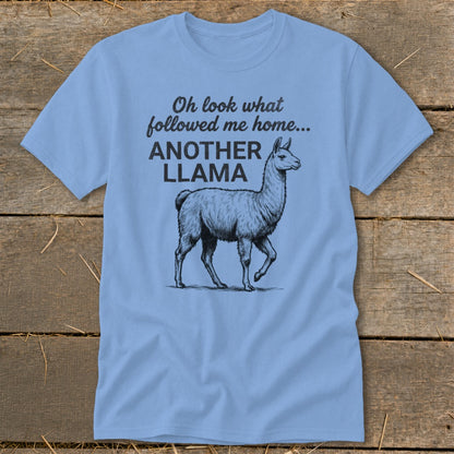 Light blue t-shirt with a llama graphic and text "Oh look what followed me home... ANOTHER LLAMA".