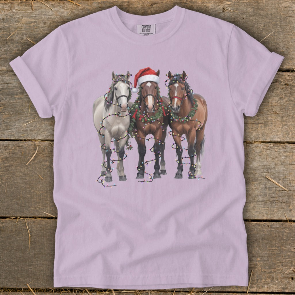 Three horses wear Christmas wreaths and lights; one has a Santa hat.