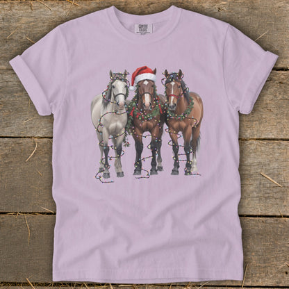Three horses wear Christmas wreaths and lights; one has a Santa hat.