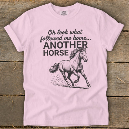 Pink t-shirt with "Oh look what followed me home... ANOTHER HORSE" text and a running horse graphic.