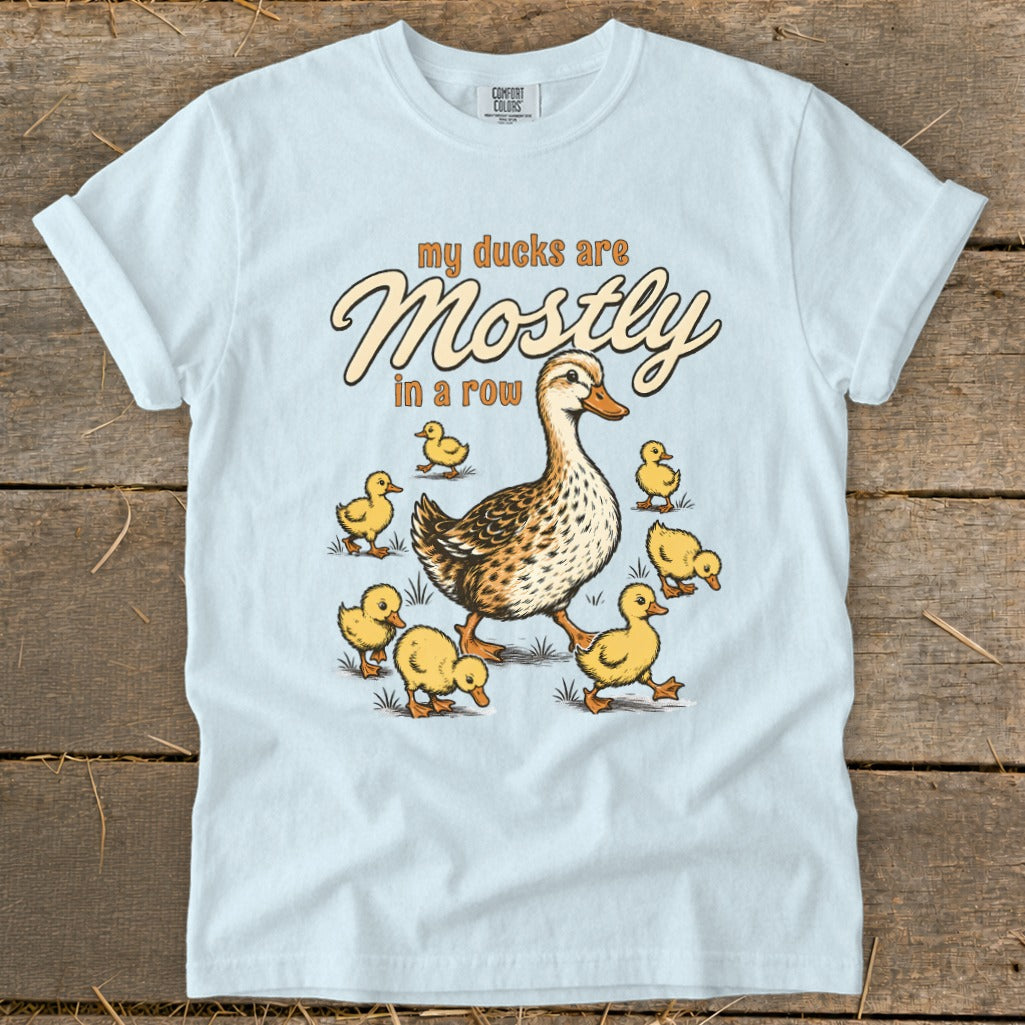 Light blue t-shirt with a graphic of a mother duck and ducklings with text "my ducks are mostly in a row".