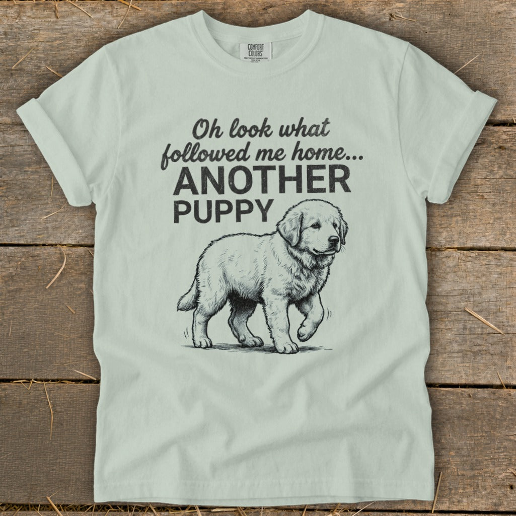 Light mint t-shirt with "Oh look what followed me home... ANOTHER PUPPY" and a drawing of a puppy.