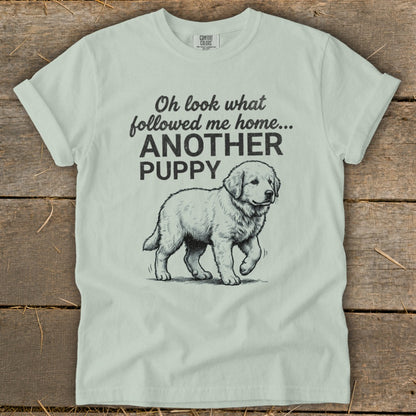 Light mint t-shirt with "Oh look what followed me home... ANOTHER PUPPY" and a drawing of a puppy.