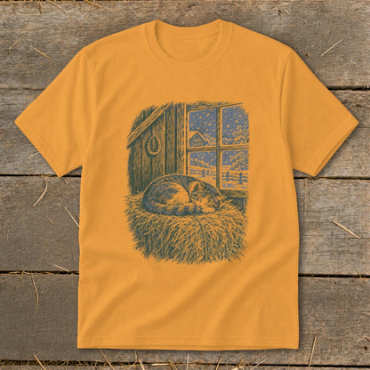 Cat sleeping on hay in a barn window with snow outside.