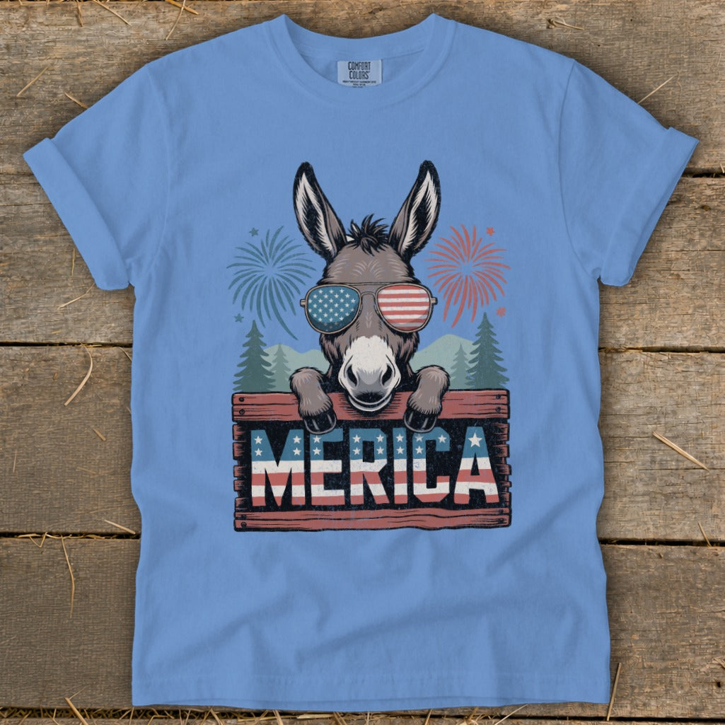 Donkey wearing American flag sunglasses holds "MERICA" sign with fireworks background.
