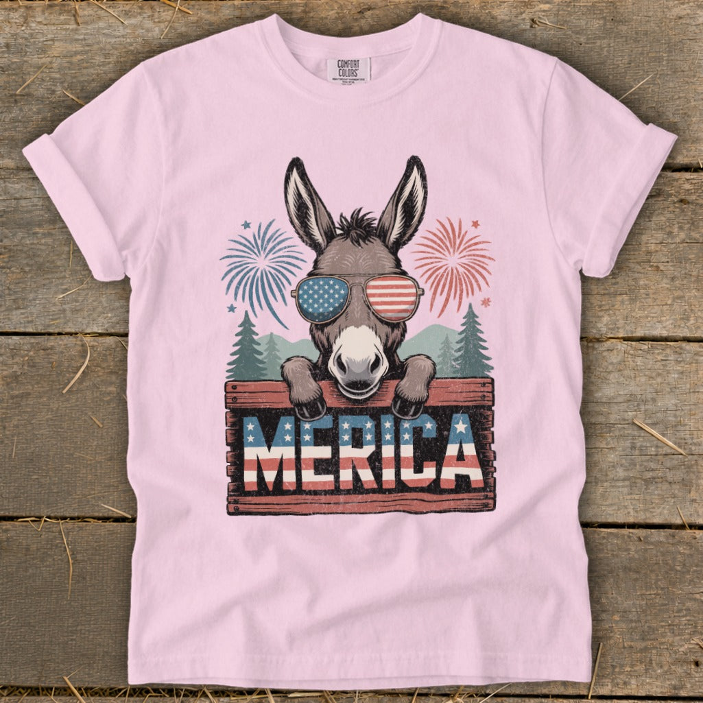 Donkey in patriotic sunglasses peeking over "MERICA" sign with fireworks.
