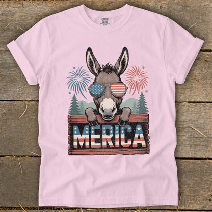Donkey in patriotic sunglasses peeking over "MERICA" sign with fireworks.