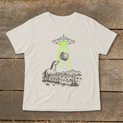 UFO beams a hay bale down onto a horse in a fenced pasture with mountains.