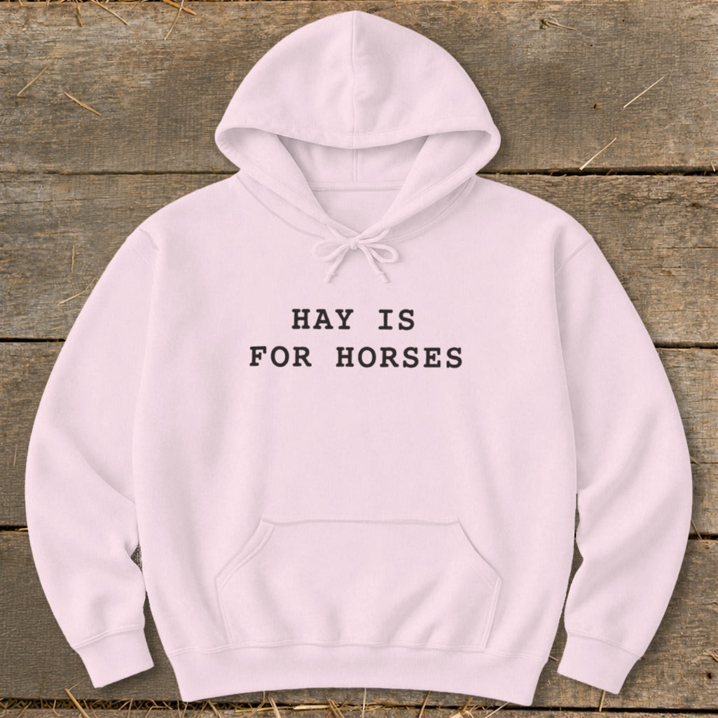 Pink hoodie with "HAY IS FOR HORSES" text, on a wooden background.