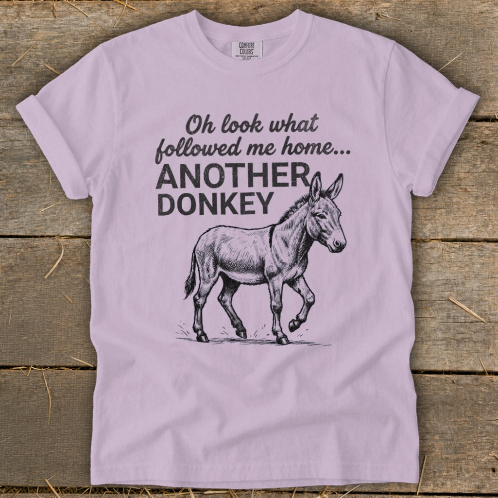 Light purple t-shirt with "Oh look what followed me home... ANOTHER DONKEY" and a drawing of a donkey.