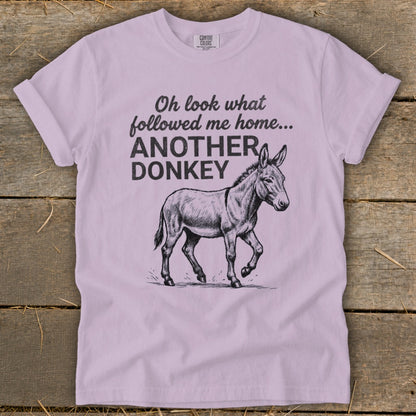 Light purple t-shirt with "Oh look what followed me home... ANOTHER DONKEY" and a drawing of a donkey.