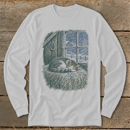 Tabbby cat sleeping on hay bale with snowy barn window behind.
