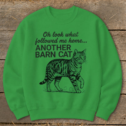 Green sweatshirt with black text "Oh look what followed me home... ANOTHER BARN CAT" and a barn cat illustration.
