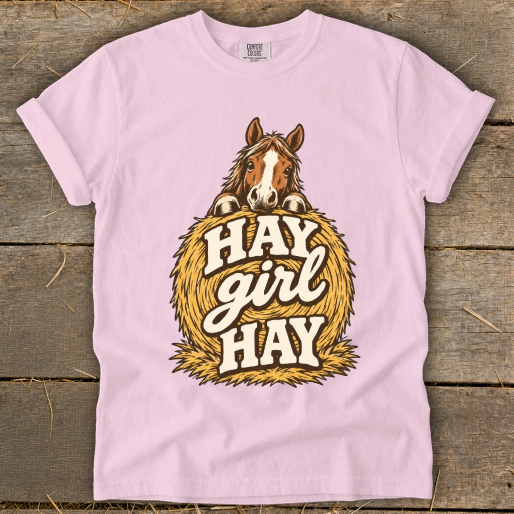 Horse peeking over hay bale with text "HAY girl HAY".