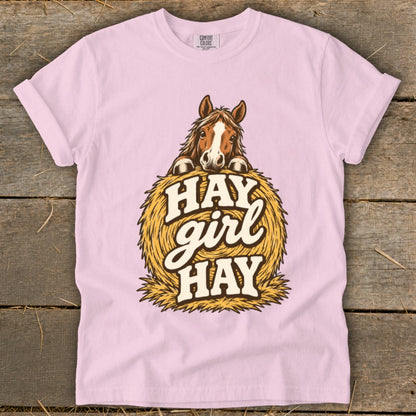 Horse peeking over hay bale with text "HAY girl HAY".