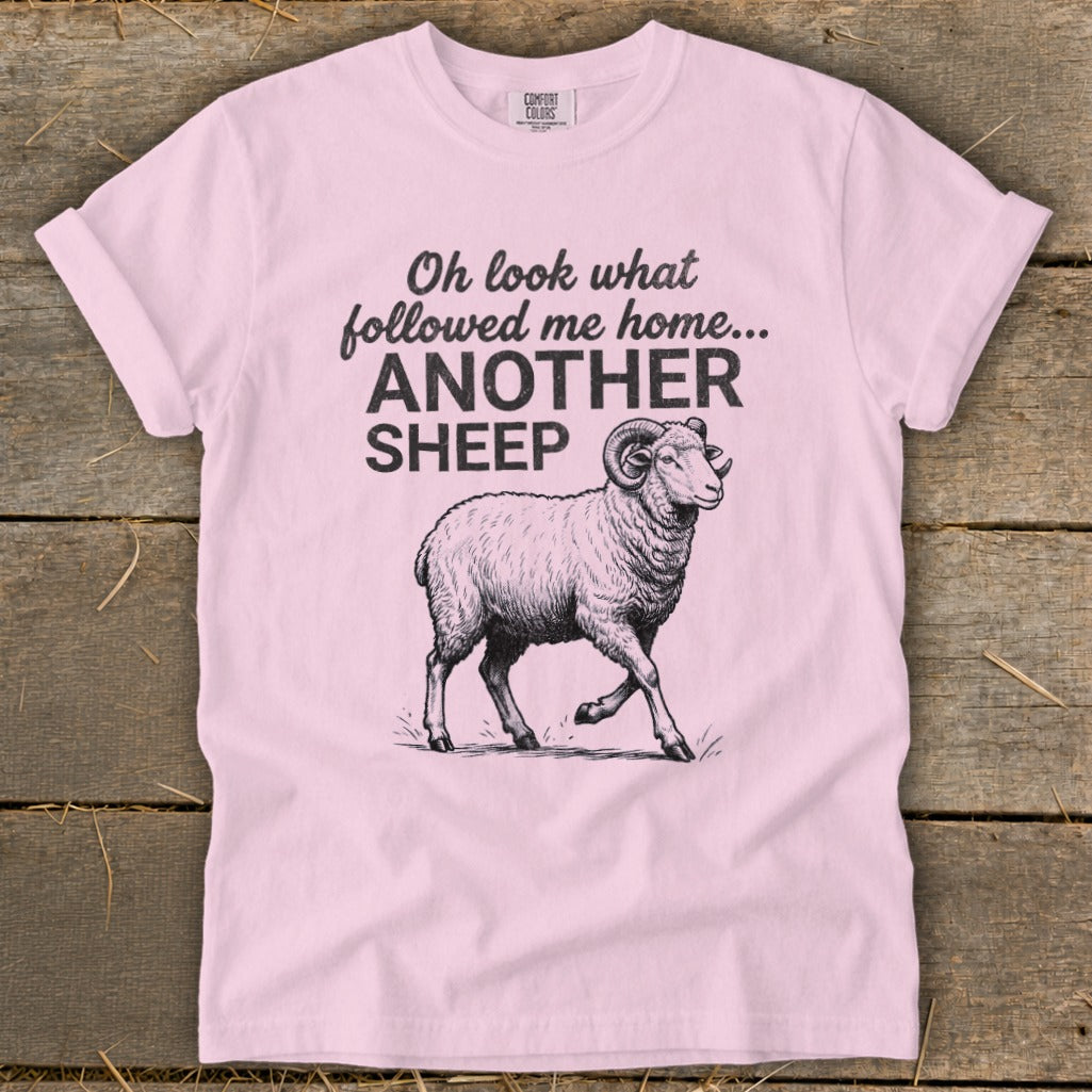 Pink t-shirt with "Oh look what followed me home... ANOTHER SHEEP" and a sheep illustration.