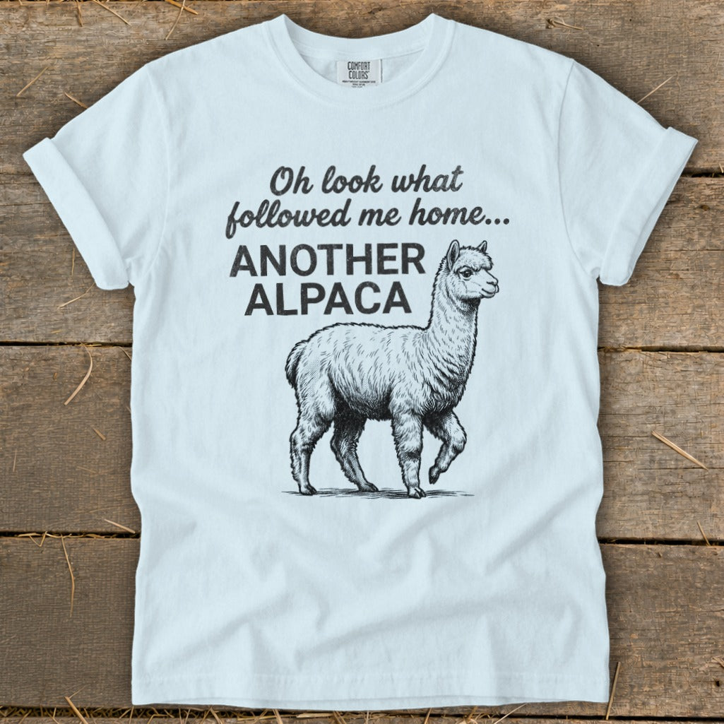 Light blue t-shirt with text "Oh look what followed me home... ANOTHER ALPACA" and an alpaca graphic.