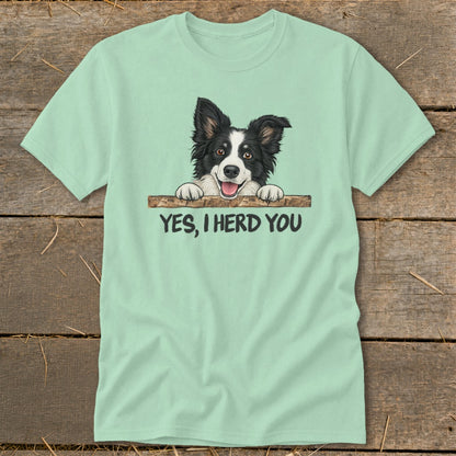 Light green t-shirt with a cartoon Border Collie and the text "YES, I HERD YOU."
