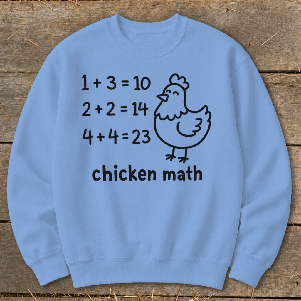 Light blue sweatshirt with "chicken math" and funny math problems.