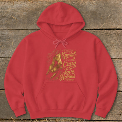 Red hoodie with gold text and horse graphic: It Takes a Special Kind of Crazy to Love Horses.