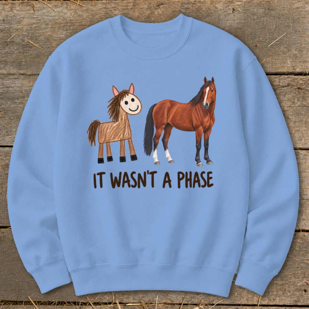 It Wasn't a Phase Drawing Sweatshirt
