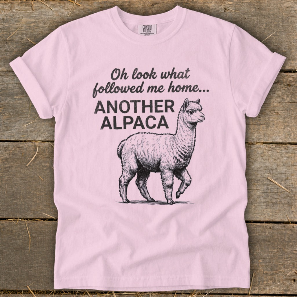 Pink t-shirt with black text "Oh look what followed me home... ANOTHER ALPACA" and an alpaca graphic.