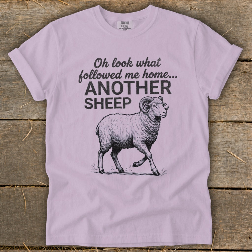 Lilac t-shirt with sketch of ram and text "Oh look what followed me home... ANOTHER SHEEP".