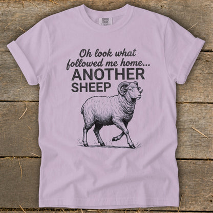 Lilac t-shirt with sketch of ram and text "Oh look what followed me home... ANOTHER SHEEP".