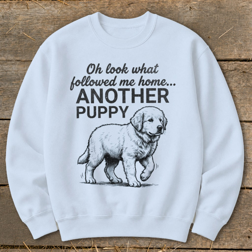 Light blue sweatshirt with "Oh look what followed me home... ANOTHER PUPPY" and a puppy graphic.