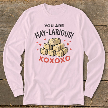 Pink long-sleeve shirt with "YOU ARE HAY-LARIOUS!" and XOXOXO graphics.