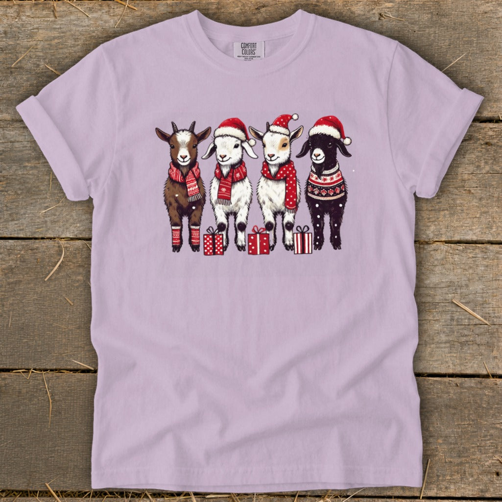 Four goats wearing Santa hats and scarves stand with presents.