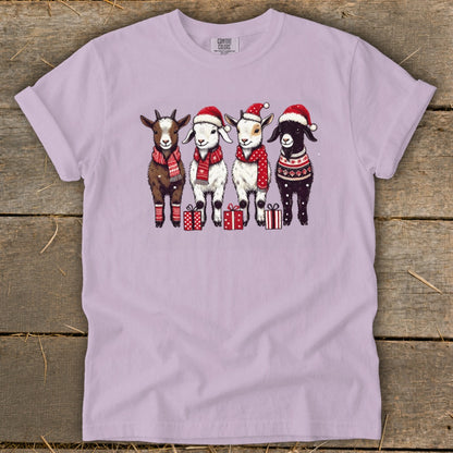 Four goats wearing Santa hats and scarves stand with presents.