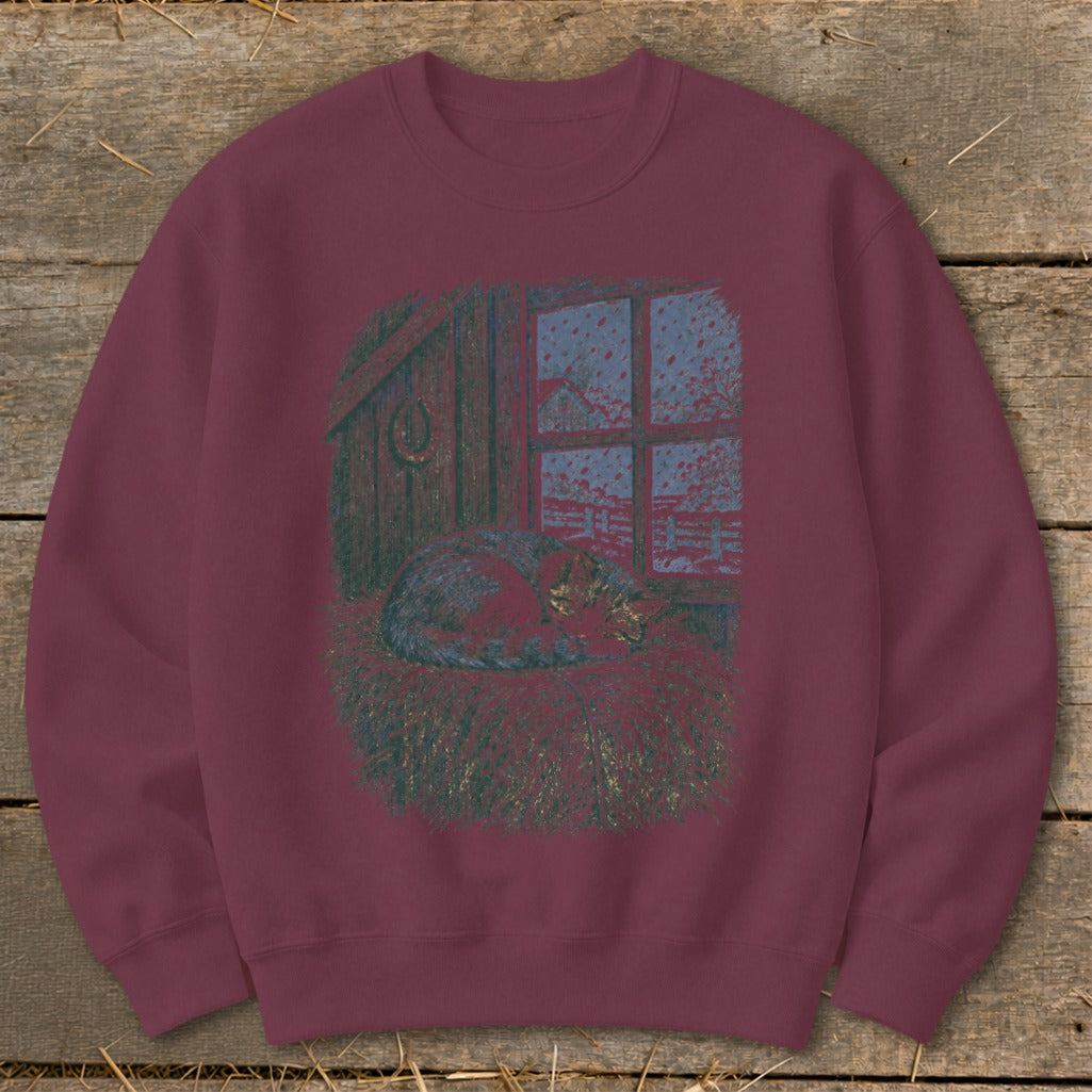 Sweatshirt with a sleeping cat on straw by a window showing a snowy landscape.