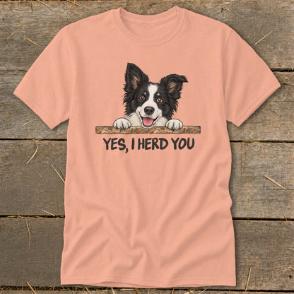 T-shirt with Border Collie illustration and text "YES, I HERD YOU".