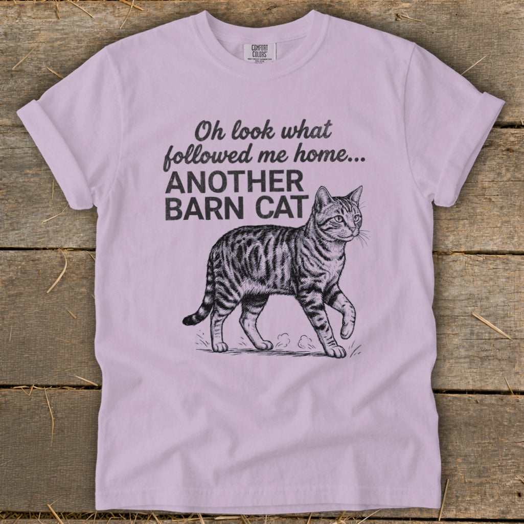 Light purple t-shirt with a tabby cat illustration and text "Oh look what followed me home... ANOTHER BARN CAT".