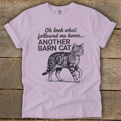 Light purple t-shirt with a tabby cat illustration and text "Oh look what followed me home... ANOTHER BARN CAT".