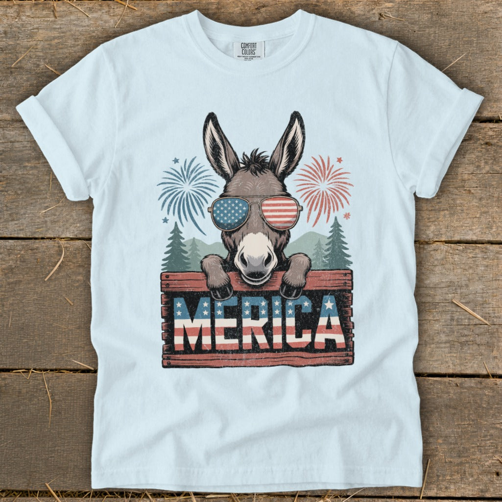 Donkey wearing American flag sunglasses holds a wooden sign with "MERICA" text, fireworks in background.