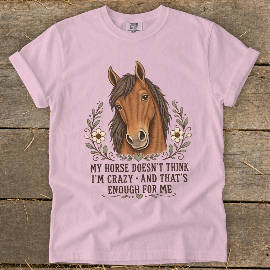 Pink t-shirt with a horse graphic and text: "My horse doesn't think I'm crazy and that's enough for me."
