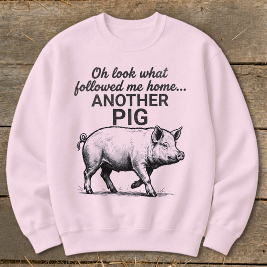 Pink sweatshirt with pig illustration and text "Oh look what followed me home... ANOTHER PIG".