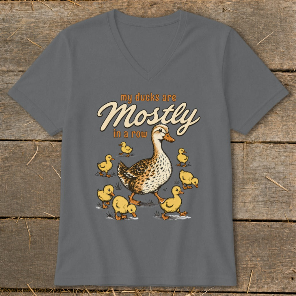 Gray t-shirt with illustration of a duck and ducklings with text "my ducks are Mostly in a row".