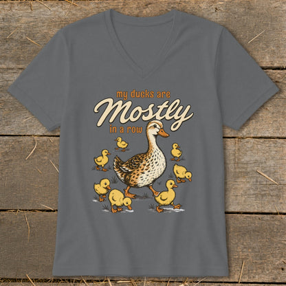 Gray t-shirt with illustration of a duck and ducklings with text "my ducks are Mostly in a row".