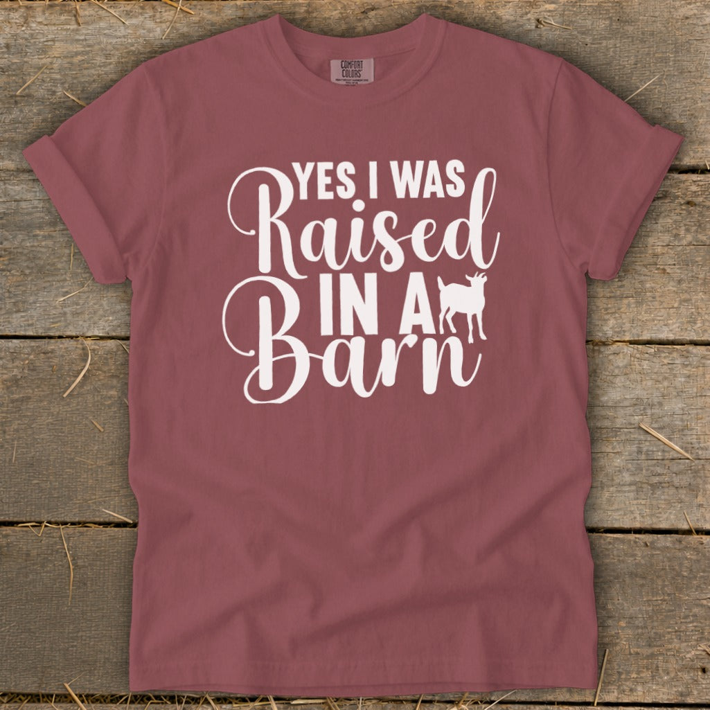 Maroon t-shirt with white text "YES I WAS Raised IN A Barn" and a goat silhouette.