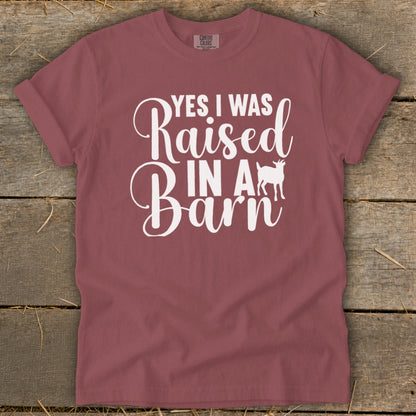 Maroon t-shirt with white text "YES I WAS Raised IN A Barn" and a goat silhouette.