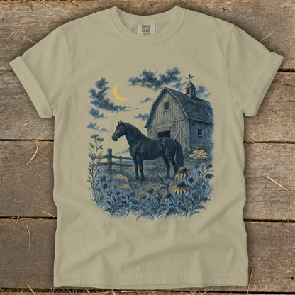 Black horse stands near a barn under a crescent moon and night sky.