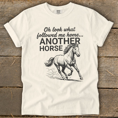White t-shirt with text "Oh look what followed me home... ANOTHER HORSE" and a horse illustration.