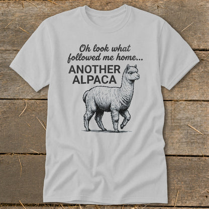 Light grey t-shirt with "Oh look what followed me home... ANOTHER ALPACA" and an alpaca drawing.