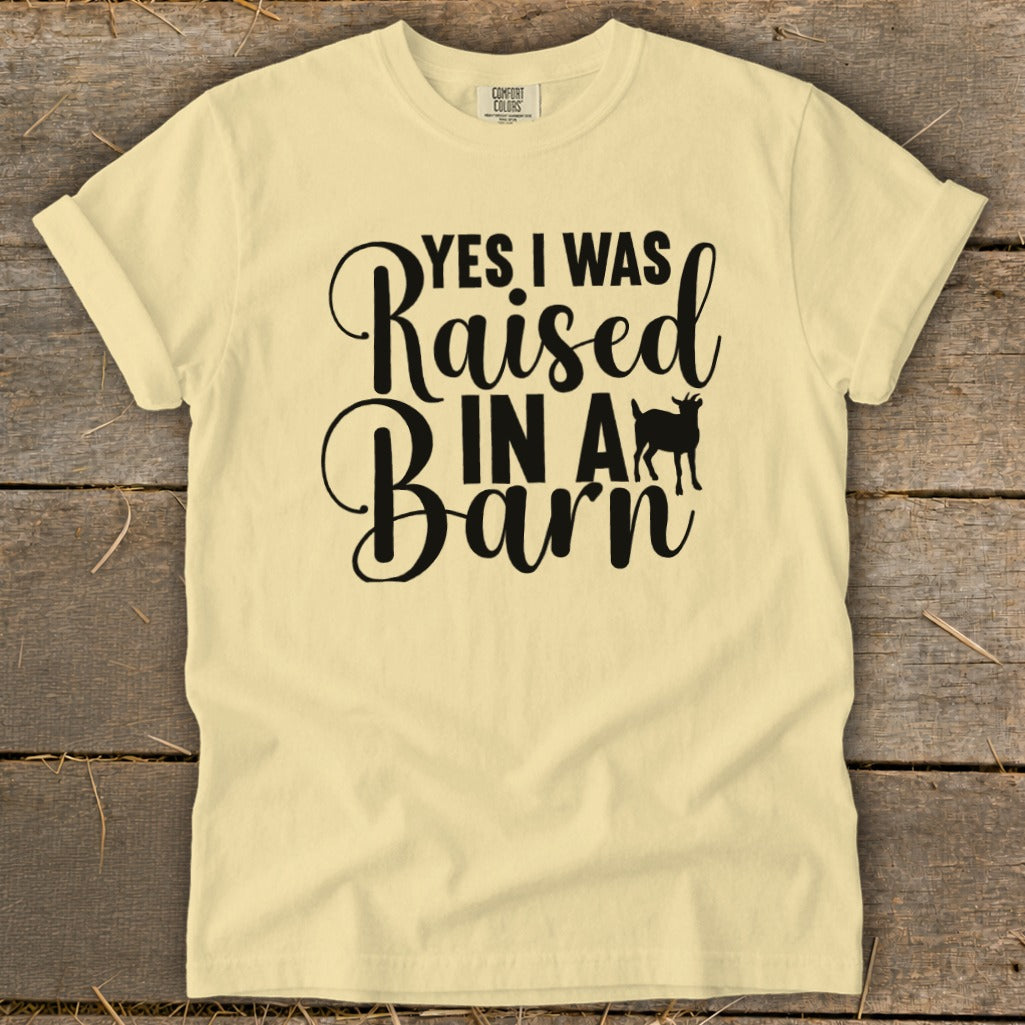 Yellow t-shirt with "YES I WAS Raised IN A Barn" text and goat graphic.