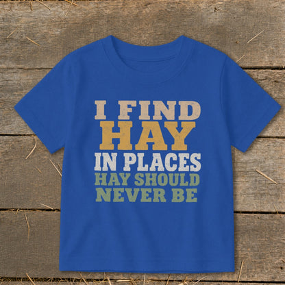 Blue t-shirt with text: "I FIND HAY IN PLACES HAY SHOULD NEVER BE"