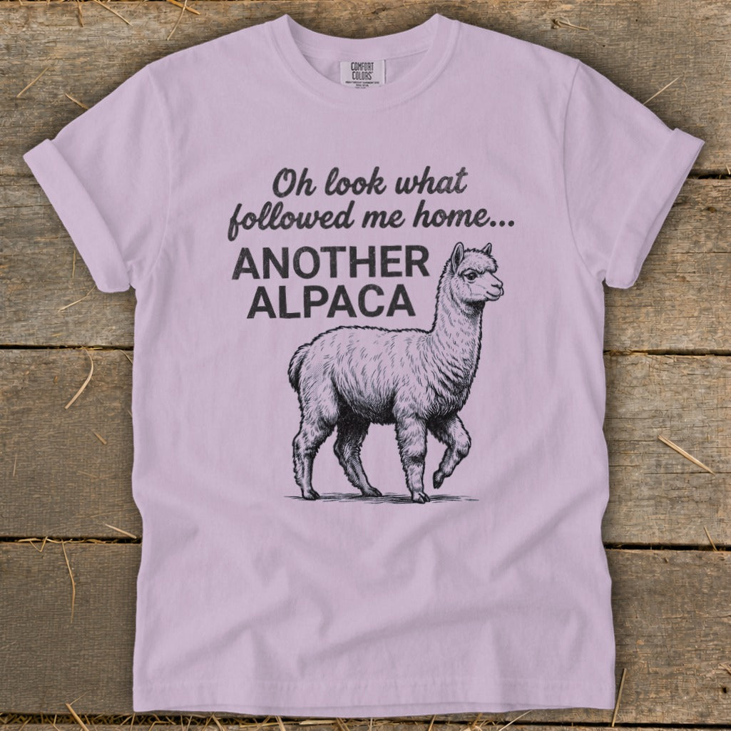 Light purple t-shirt with a drawing of an alpaca and text "Oh look what followed me home... ANOTHER ALPACA."